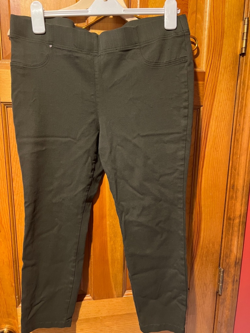 Classic Straight-Leg Pants in Dark Green stretchy pull on Counterparts 16
